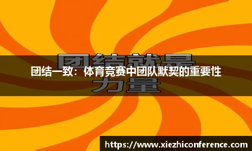 开云电竞